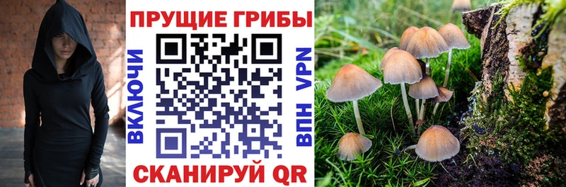 Псилоцибиновые грибы GOLDEN TEACHER  Купить где  Бавлы 