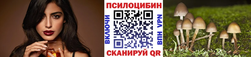 Псилоцибиновые грибы Psilocybe Бавлы